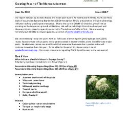 Plant Health Care Report: Issue 2020.7