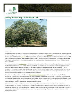 White Oak Press Release