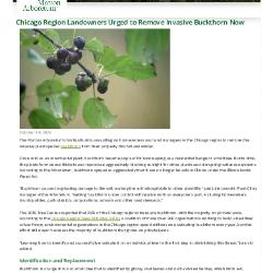 Invasive Buckthorn Press Release