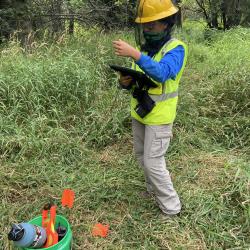 2020 Tree Census field crew taking measurements in plot 1094 