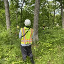 2020 Tree Census field crew taking measurements in plot 3033