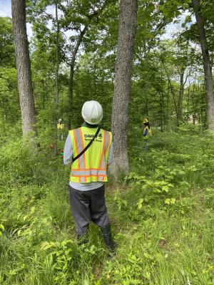 2020 Tree Census field crew taking measurements in plot 3033