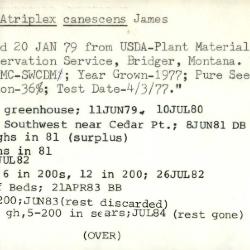 Plant Records Card Catalog, Atriplex (saltbush)