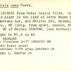 Plant Records Card Catalog, Artemisia (sagebrush)