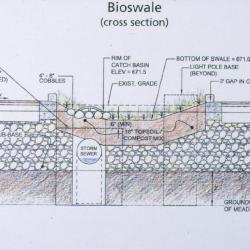 Bioswale Diagram