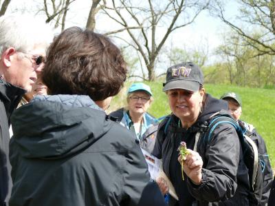 Adult Education, Trees and Nature, Spring Wildflower Walk