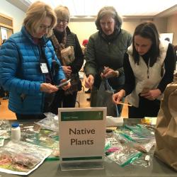 Adult Education, Gardening and Horticulture, Seed Swap