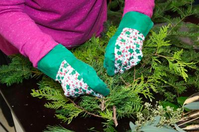 Adult Education, Gardening and Horticulture, Holiday Swags