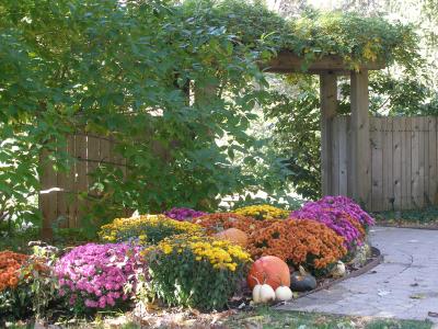 Fall Horticulture Display