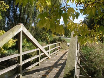 Wooden Bridge in Fall