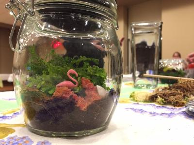 Adult Education, Gardening and Horticulture, Arboretum Uncorked: Salvage-Style Terrariums