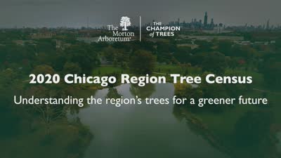 Chicago Region Tree Census Promotional Video