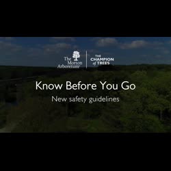 Know Before You Go, Safety Guidelines Video