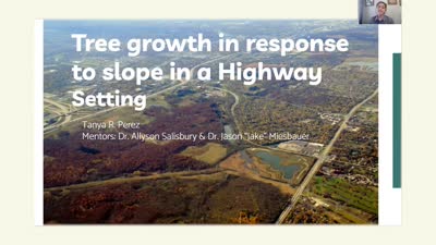 Tree growth in response to slope in a Highway Setting