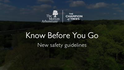 Know Before You Go, Safety Guidelines Video