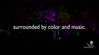 Illumination: Tree Lights at The Morton Arboretum, Promotional Video