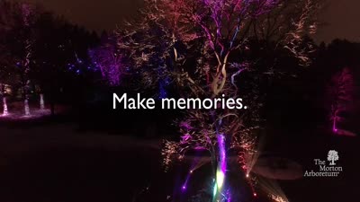 Illumination: Tree Lights at The Morton Arboretum, Promotional Video [pre-promotion]