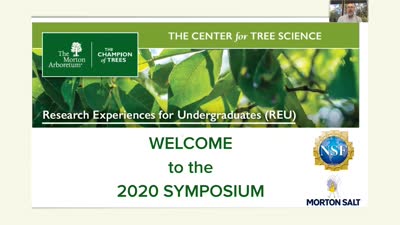 2020 Research Experiences for Undergraduates (REU) Symposium: Introduction by Chuck Cannon