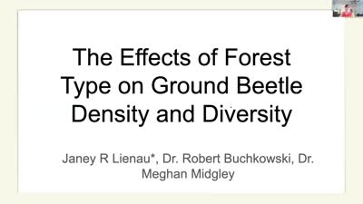 The Effects of Forest Type on Ground Beetle Abundance and Diversity

