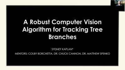 A Robust Computer Vision Algorithm for Tracking Tree Branches