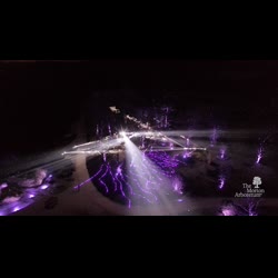 Illumination: Tree Lights at The Morton Arboretum, Promotional Video