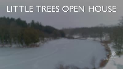 Little Trees Open House, Promotional Video