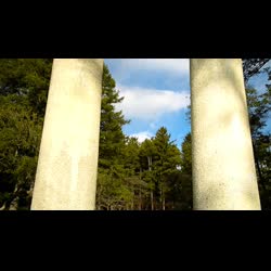 Virtual Walk of the Four Columns
