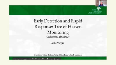 Early Detection and Rapid Response: Tree of Heaven (Ailanthus altissima) Monitoring