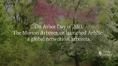 ArbNet 10 Year Anniversary Video 