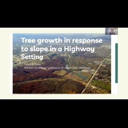 Tree growth in response to slope in a Highway Setting