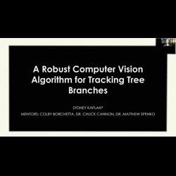 A Robust Computer Vision Algorithm for Tracking Tree Branches