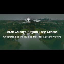 Chicago Region Tree Census Promotional Video