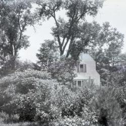Clarence Godshalk's first Arboretum house, partial view of rear through trees and shrubs