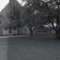 Propagator's house and yard at South Farm, rear view