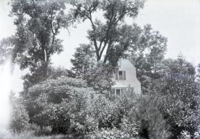 Clarence Godshalk's first Arboretum house, partial view of rear through trees and shrubs