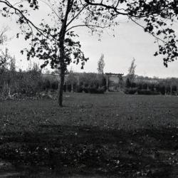 Yard at Clarence Godshalk's first Arboretum house, pergola and gate in the distance