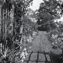 Yard at Clarence Godshalk's first Arboretum house, view of garden path from pergola 