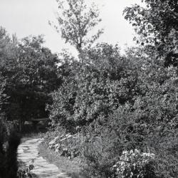 Stone walking path at Clarence Godshalk's first Arboretum house