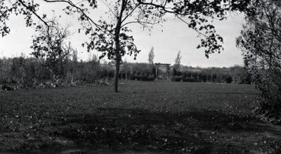 Yard at Clarence Godshalk's first Arboretum house, pergola and gate in the distance