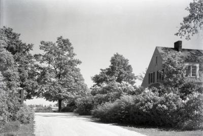 Arboretum west entrance road (Route 53/Joliet Road), Clarence Godshalk's first Arboretum house along right side of road