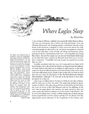 Where Eagles Sleep