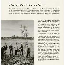 Planting the Centennial Grove