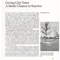 Giving City Trees a Better Chance to Survive