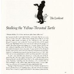 The Lookout: Stalking the Yellow-Throated Turtle