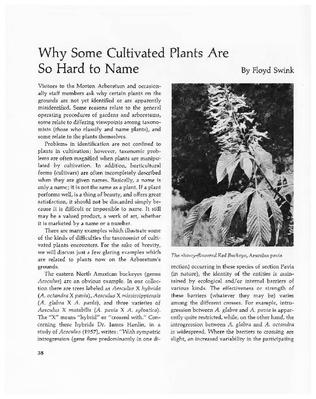 Why Some Cultivated Plants Are So Hard to Name