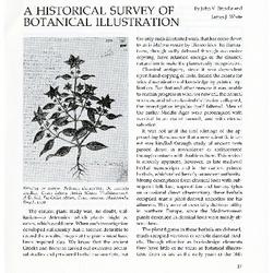 A Historical Survey of Botanical Illustration