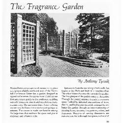 The Fragrance Garden
