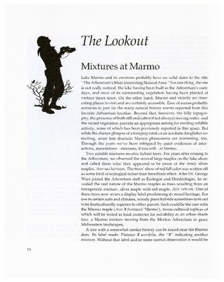 The Lookout: Mixtures at Marmo