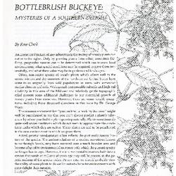 Bottlebrush Buckeye: Mysteries of a Southern Delight