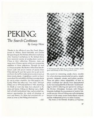 Peking: the Search Continues